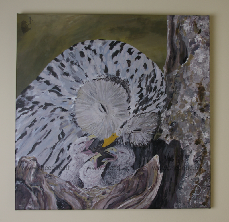 acryl schilderijen schilderij uilen in berk
